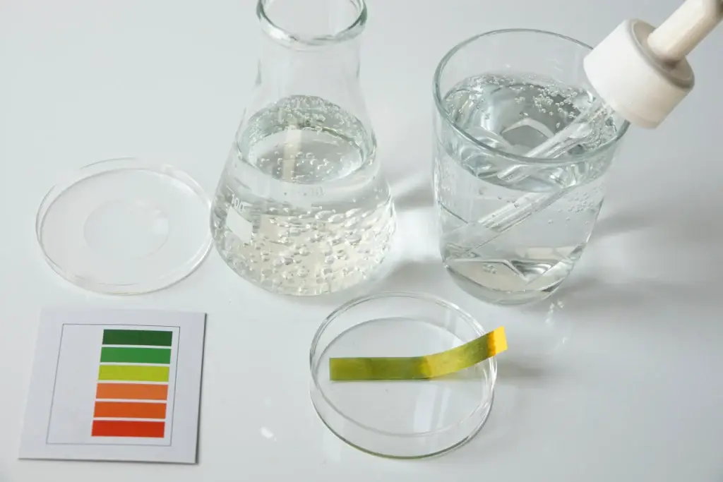 DIY Water Test Kits vs. Lab Testing: Which One Should You Choose?
