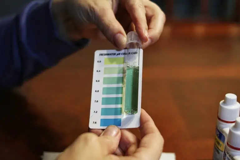 What Should You Test for in Drinking Water? A Beginner’s Checklist